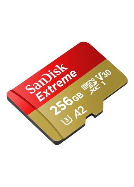SanDisk Extreme SDXC 256GB 190MB/s V30 + ada SanDisk Extreme SDXC 256GB 190MB/s V30 + ada